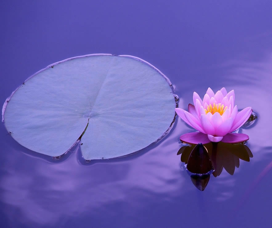 cognative behavioural therapy bolton, bury and Greater Manchester